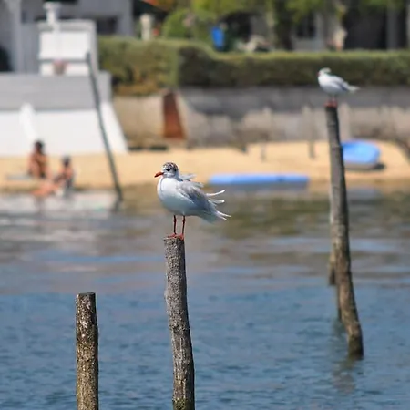 Naiade, Lege-cap-ferret, Arcachon Bay *