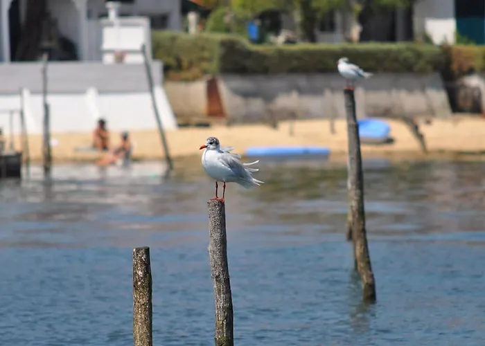 Naiade, Lege-cap-ferret, Arcachon Bay *